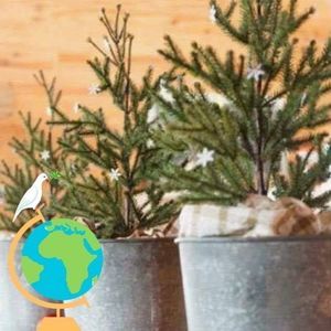 Meet your Posher, Lyn